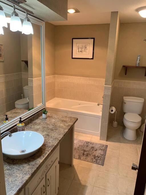Charming Central Amarillo Retreat With A Jacuzzi Dış mekan fotoğraf